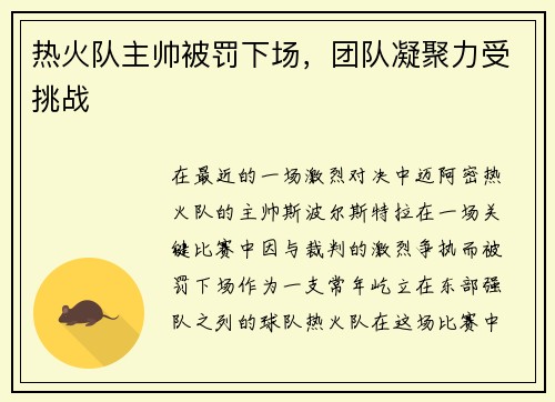 热火队主帅被罚下场，团队凝聚力受挑战